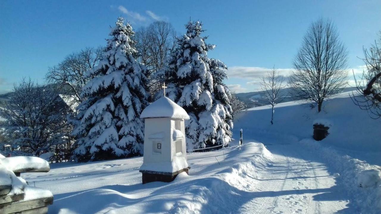 Stylova Chalupa Na Kraji Narodniho Parku Sumava Strunkov Exterior photo