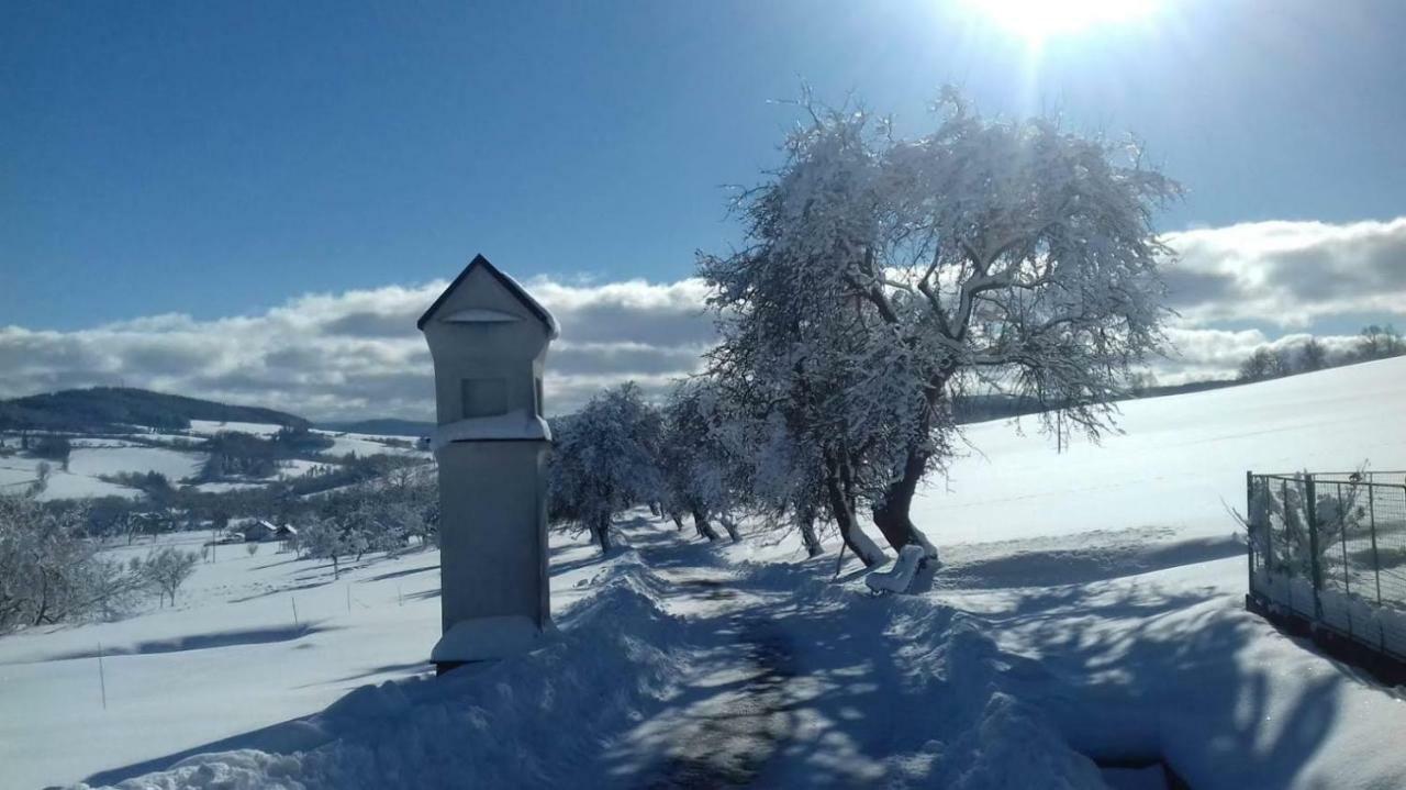 Stylova Chalupa Na Kraji Narodniho Parku Sumava Strunkov Exterior photo